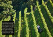 VITRAC STORIES-14