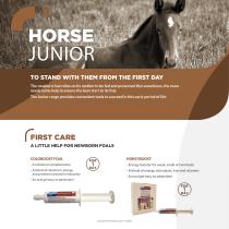 Horse Catalogue-2