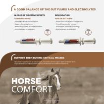 Horse Catalogue-3