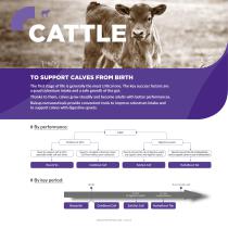 Ruminant Catalogue-2