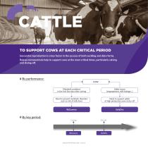 Ruminant Catalogue-4