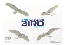 Robotic Falcons-11