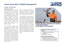Robotic Falcons-6