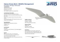 Robotic Falcons-7