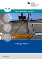 DGUV Grundsatz 309-001-1