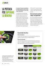 CATALOGO 2025-10