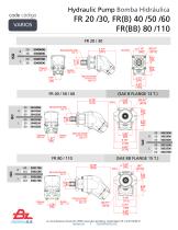 Hydraulic Pump FR-2
