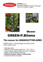 GREEN-P BILAMA-1