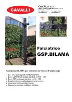 GSP-BILAMA-1