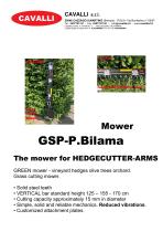 GSP-P. BILAMA-1