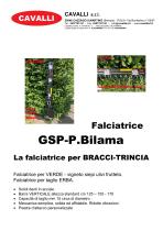 GSP-P. BILAMA-1