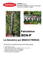 SCH-P