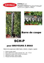 SCH-P