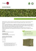 ALFALFA BALES-1