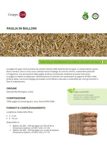 PAGLIA IN BALLONI