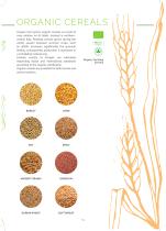 PRODUCTS-13