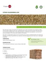 STROH QUADERBALLEN-1