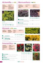 BLUMEN Saatgut 2023-2025-10