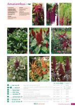 BLUMEN Saatgut 2023-2025-11