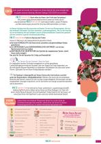 BLUMEN Saatgut 2023-2025-3