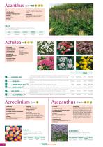 BLUMEN Saatgut 2023-2025-6