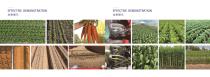 Qingdao Dashun Jingfeng Agricultural Machinery Company Products and Company Profile-7