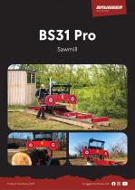 BS31 Pro