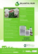 Bilantul Rum · Folleto comercial-2