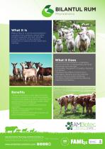 Bilantul Rum · Product brochure-1