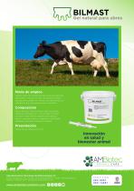 Bilmast · Folleto comercial-2