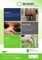 Bilmast · Product brochure-1