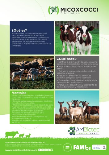 Micoxcocci &middot; Folleto comercial