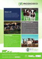 Micoxcocci · Product brochure-1