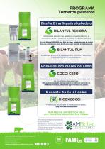 Programa Balance · Terneros pasteros-1