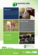 Rumincube · Product brochure-1