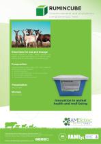 Rumincube · Product brochure-2