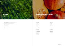 Product brochure-7