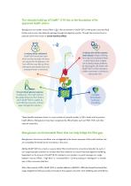 beta-glucans leaflet-3