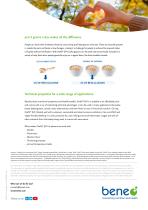 beta-glucans leaflet-4