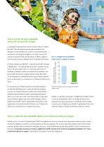 functional fibre brochure-7