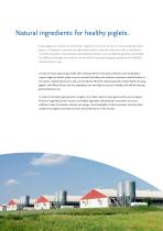natural ingredients for healthy piglets-2