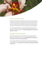 natural ingredients for healthy piglets-6