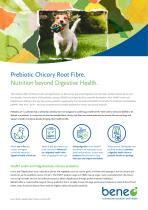Prebiotic Chicory Root Fibre-1