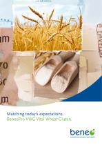 Vital Wheat Gluten brochure-1