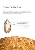 Vital Wheat Gluten brochure-2