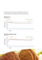 Vital Wheat Gluten brochure-5