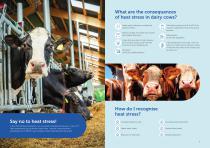 Complete brochure-3
