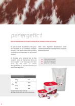 penergetic-8