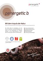 penergetic b