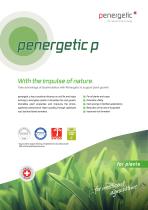 penergetic p-1